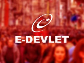 e-devlet